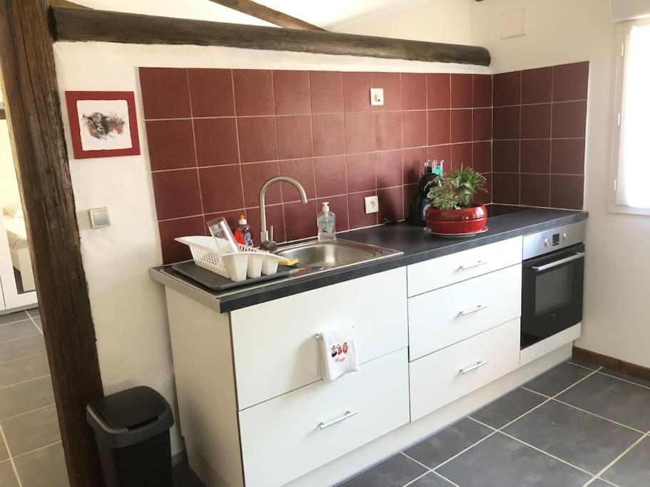 Logement Insolite Au Coeur D'Une Ecurie Arles Zewnętrze zdjęcie