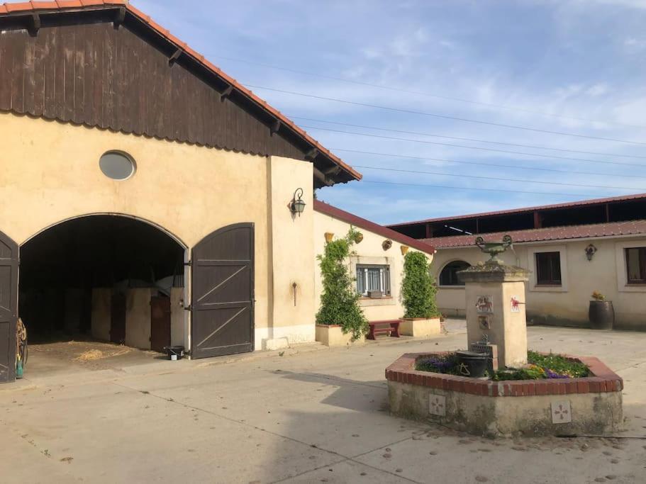 Logement Insolite Au Coeur D'Une Ecurie Arles Zewnętrze zdjęcie